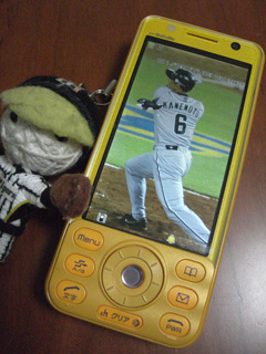 08012902.jpg